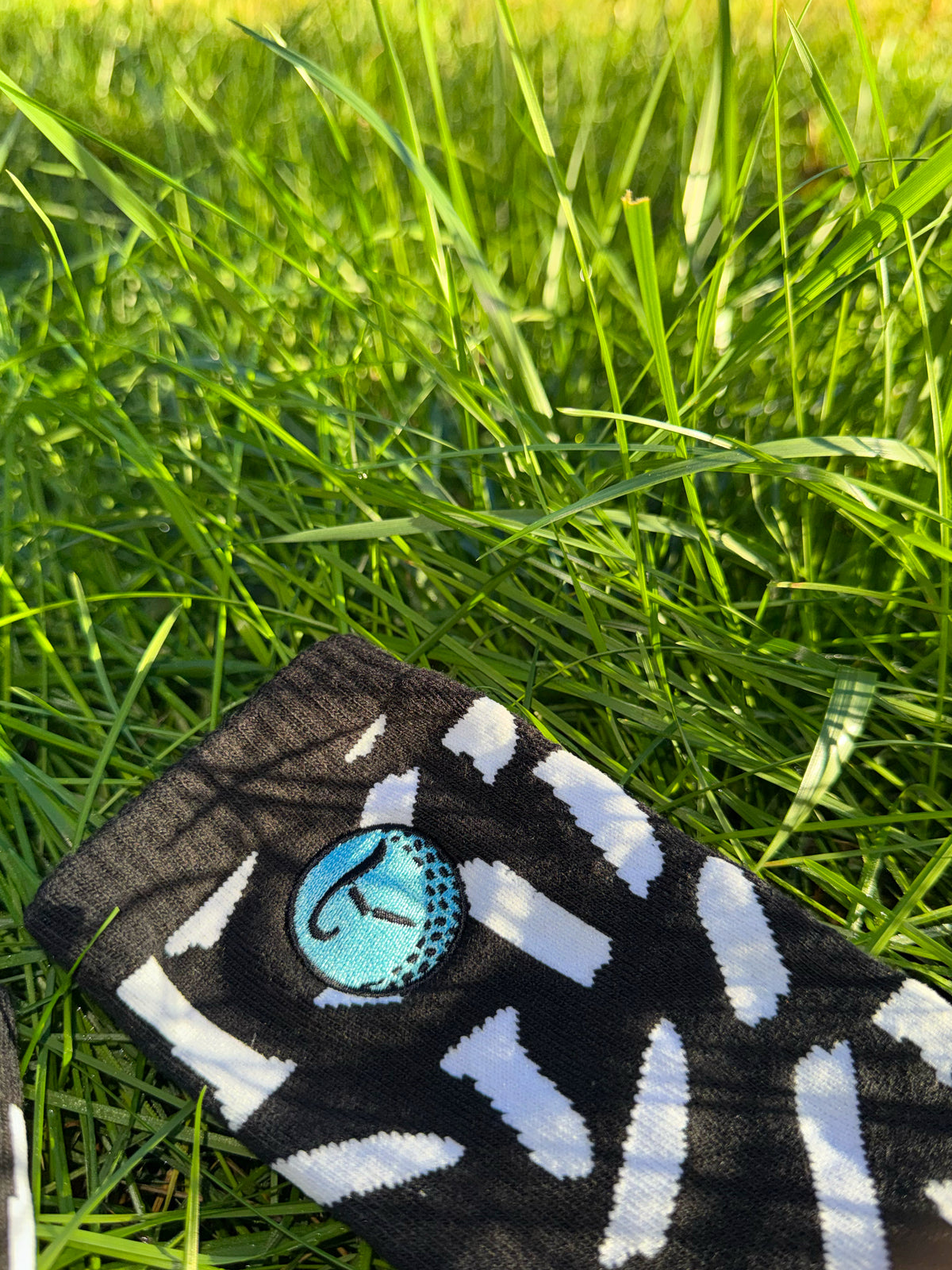 Tee Box Socks - Black